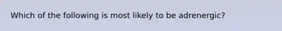 Which of the following is most likely to be adrenergic?