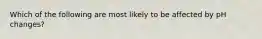 Which of the following are most likely to be affected by pH changes?