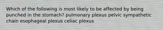 Which of the following is most likely to be affected by being punched in the stomach? pulmonary plexus pelvic sympathetic chain esophageal plexus celiac plexus