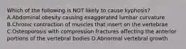 Which of the following is NOT likely to cause kyphosis? A.Abdominal obesity causing exaggerated lumbar curvature B.Chronic contraction of muscles that insert on the vertebrae C.Osteoporosis with compression fractures affecting the anterior portions of the vertebral bodies D.Abnormal vertebral growth