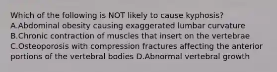 Which of the following is NOT likely to cause kyphosis? A.Abdominal obesity causing exaggerated lumbar curvature B.Chronic contraction of muscles that insert on the vertebrae C.Osteoporosis with compression fractures affecting the anterior portions of the vertebral bodies D.Abnormal vertebral growth