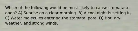 Which of the following would be most likely to cause stomata to open? A) Sunrise on a clear morning. B) A cool night is setting in. C) Water molecules entering the stomatal pore. D) Hot, dry weather, and strong winds.