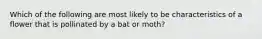 Which of the following are most likely to be characteristics of a flower that is pollinated by a bat or moth?