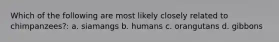 Which of the following are most likely closely related to chimpanzees?: a. siamangs b. humans c. orangutans d. gibbons