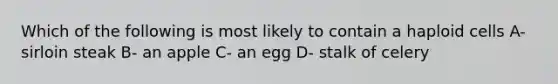 Which of the following is most likely to contain a haploid cells A- sirloin steak B- an apple C- an egg D- stalk of celery