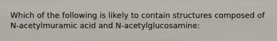 Which of the following is likely to contain structures composed of N-acetylmuramic acid and N-acetylglucosamine: