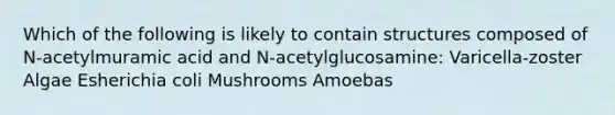 Which of the following is likely to contain structures composed of N-acetylmuramic acid and N-acetylglucosamine: Varicella-zoster Algae Esherichia coli Mushrooms Amoebas