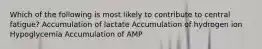 Which of the following is most likely to contribute to central fatigue? Accumulation of lactate Accumulation of hydrogen ion Hypoglycemia Accumulation of AMP