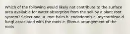 Which of the following would likely not contribute to the surface area available for water absorption from the soil by a plant root system? Select one: a. root hairs b. endodermis c. mycorrhizae d. fungi associated with the roots e. fibrous arrangement of the roots