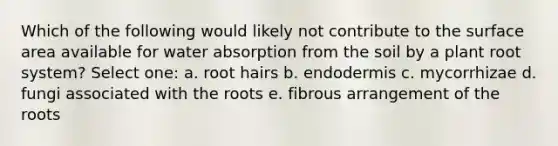 Which of the following would likely not contribute to the surface area available for water absorption from the soil by a plant root system? Select one: a. root hairs b. endodermis c. mycorrhizae d. fungi associated with the roots e. fibrous arrangement of the roots