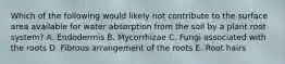 Which of the following would likely not contribute to the surface area available for water absorption from the soil by a plant root system? A. Endodermis B. Mycorrhizae C. Fungi associated with the roots D. Fibrous arrangement of the roots E. Root hairs