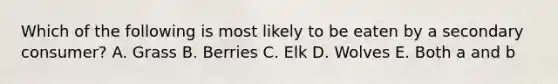 Which of the following is most likely to be eaten by a secondary consumer? A. Grass B. Berries C. Elk D. Wolves E. Both a and b