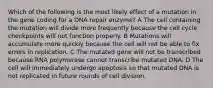 Which of the following is the most likely effect of a mutation in the gene coding for a DNA repair enzyme? A The cell containing the mutation will divide more frequently because the cell cycle checkpoints will not function properly. B Mutations will accumulate more quickly because the cell will not be able to fix errors in replication. C The mutated gene will not be transcribed because RNA polymerase cannot transcribe mutated DNA. D The cell will immediately undergo apoptosis so that mutated DNA is not replicated in future rounds of cell division.