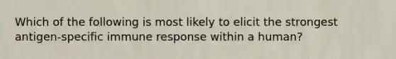 Which of the following is most likely to elicit the strongest antigen-specific immune response within a human?