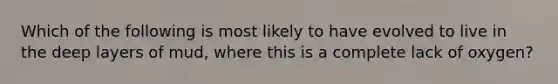 Which of the following is most likely to have evolved to live in the deep layers of mud, where this is a complete lack of oxygen?