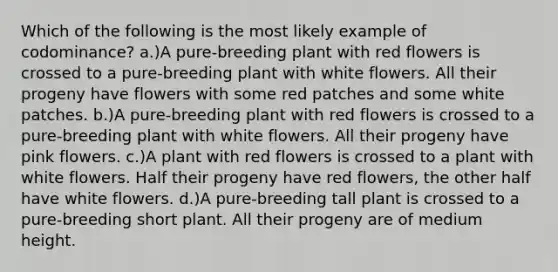 Which of the following is the most likely example of codominance? a.)A pure-breeding plant with red flowers is crossed to a pure-breeding plant with white flowers. All their progeny have flowers with some red patches and some white patches. b.)A pure-breeding plant with red flowers is crossed to a pure-breeding plant with white flowers. All their progeny have pink flowers. c.)A plant with red flowers is crossed to a plant with white flowers. Half their progeny have red flowers, the other half have white flowers. d.)A pure-breeding tall plant is crossed to a pure-breeding short plant. All their progeny are of medium height.