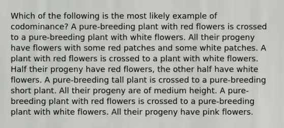 Which of the following is the most likely example of codominance? A pure-breeding plant with red flowers is crossed to a pure-breeding plant with white flowers. All their progeny have flowers with some red patches and some white patches. A plant with red flowers is crossed to a plant with white flowers. Half their progeny have red flowers, the other half have white flowers. A pure-breeding tall plant is crossed to a pure-breeding short plant. All their progeny are of medium height. A pure-breeding plant with red flowers is crossed to a pure-breeding plant with white flowers. All their progeny have pink flowers.