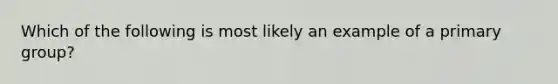 Which of the following is most likely an example of a primary group?