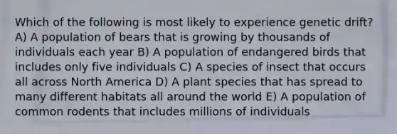 Which of the following is most likely to experience genetic drift? A) A population of bears that is growing by thousands of individuals each year B) A population of endangered birds that includes only five individuals C) A species of insect that occurs all across North America D) A plant species that has spread to many different habitats all around the world E) A population of common rodents that includes millions of individuals