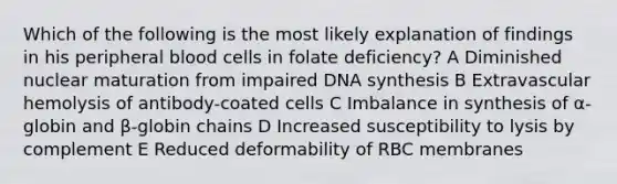 Which of the following is the most likely explanation of findings in his peripheral blood cells in folate deficiency? A Diminished nuclear maturation from impaired DNA synthesis B Extravascular hemolysis of antibody-coated cells C Imbalance in synthesis of α-globin and β-globin chains D Increased susceptibility to lysis by complement E Reduced deformability of RBC membranes