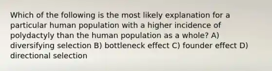 Which of the following is the most likely explanation for a particular human population with a higher incidence of polydactyly than the human population as a whole? A) diversifying selection B) bottleneck effect C) founder effect D) directional selection