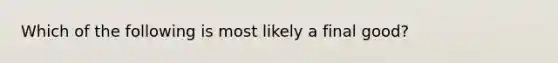 Which of the following is most likely a final good?