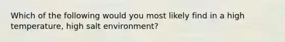 Which of the following would you most likely find in a high temperature, high salt environment?