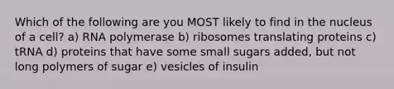 Which of the following are you MOST likely to find in the nucleus of a cell? a) RNA polymerase b) ribosomes translating proteins c) tRNA d) proteins that have some small sugars added, but not long polymers of sugar e) vesicles of insulin