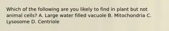 Which of the following are you likely to find in plant but not animal cells? A. Large water filled vacuole B. Mitochondria C. Lysosome D. Centriole