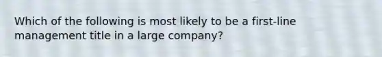 ​Which of the following is most likely to be a first-line management title in a large company?