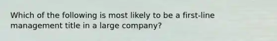 Which of the following is most likely to be a first-line management title in a large company?