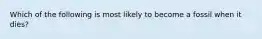 Which of the following is most likely to become a fossil when it dies?