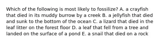 Which of the following is most likely to fossilize? A. a crayfish that died in its muddy burrow by a creek B. a jellyfish that died and sunk to the bottom of the ocean C. a lizard that died in the leaf litter on the forest floor D. a leaf that fell from a tree and landed on the surface of a pond E. a snail that died on a rock