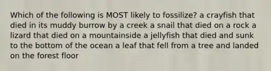 Which of the following is MOST likely to fossilize? a crayfish that died in its muddy burrow by a creek a snail that died on a rock a lizard that died on a mountainside a jellyfish that died and sunk to the bottom of the ocean a leaf that fell from a tree and landed on the forest floor