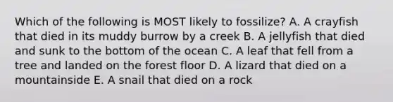 Which of the following is MOST likely to fossilize? A. A crayfish that died in its muddy burrow by a creek B. A jellyfish that died and sunk to the bottom of the ocean C. A leaf that fell from a tree and landed on the forest floor D. A lizard that died on a mountainside E. A snail that died on a rock