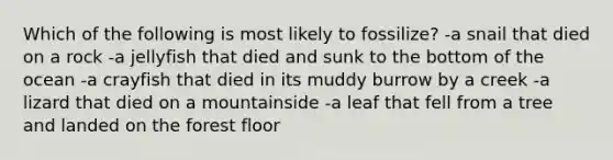 Which of the following is most likely to fossilize? -a snail that died on a rock -a jellyfish that died and sunk to the bottom of the ocean -a crayfish that died in its muddy burrow by a creek -a lizard that died on a mountainside -a leaf that fell from a tree and landed on the forest floor