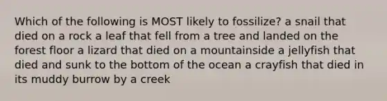 Which of the following is MOST likely to fossilize? a snail that died on a rock a leaf that fell from a tree and landed on the forest floor a lizard that died on a mountainside a jellyfish that died and sunk to the bottom of the ocean a crayfish that died in its muddy burrow by a creek