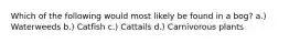 Which of the following would most likely be found in a bog? a.) Waterweeds b.) Catfish c.) Cattails d.) Carnivorous plants