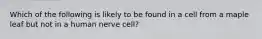 Which of the following is likely to be found in a cell from a maple leaf but not in a human nerve cell?