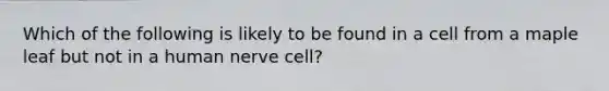 Which of the following is likely to be found in a cell from a maple leaf but not in a human nerve cell?