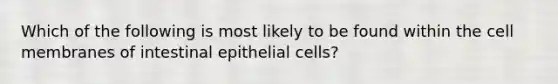 Which of the following is most likely to be found within the cell membranes of intestinal epithelial cells?