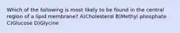 Which of the following is most likely to be found in the central region of a lipid membrane? A)Cholesterol B)Methyl phosphate C)Glucose D)Glycine