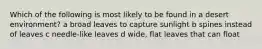 Which of the following is most likely to be found in a desert environment? a broad leaves to capture sunlight b spines instead of leaves c needle-like leaves d wide, flat leaves that can float