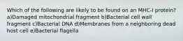 Which of the following are likely to be found on an MHC-I protein? a)Damaged mitochondrial fragment b)Bacterial cell wall fragment c)Bacterial DNA d)Membranes from a neighboring dead host cell e)Bacterial flagella