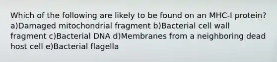 Which of the following are likely to be found on an MHC-I protein? a)Damaged mitochondrial fragment b)Bacterial cell wall fragment c)Bacterial DNA d)Membranes from a neighboring dead host cell e)Bacterial flagella