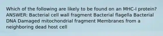 Which of the following are likely to be found on an MHC-I protein? ANSWER: Bacterial cell wall fragment Bacterial flagella Bacterial DNA Damaged mitochondrial fragment Membranes from a neighboring dead host cell