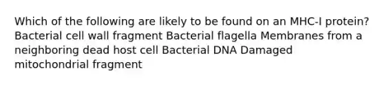 Which of the following are likely to be found on an MHC-I protein? Bacterial cell wall fragment Bacterial flagella Membranes from a neighboring dead host cell Bacterial DNA Damaged mitochondrial fragment