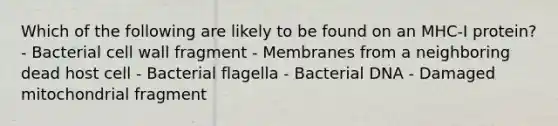 Which of the following are likely to be found on an MHC-I protein? - Bacterial cell wall fragment - Membranes from a neighboring dead host cell - Bacterial flagella - Bacterial DNA - Damaged mitochondrial fragment