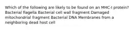 Which of the following are likely to be found on an MHC-I protein? Bacterial flagella Bacterial cell wall fragment Damaged mitochondrial fragment Bacterial DNA Membranes from a neighboring dead host cell