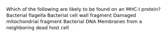 Which of the following are likely to be found on an MHC-I protein? Bacterial flagella Bacterial cell wall fragment Damaged mitochondrial fragment Bacterial DNA Membranes from a neighboring dead host cell